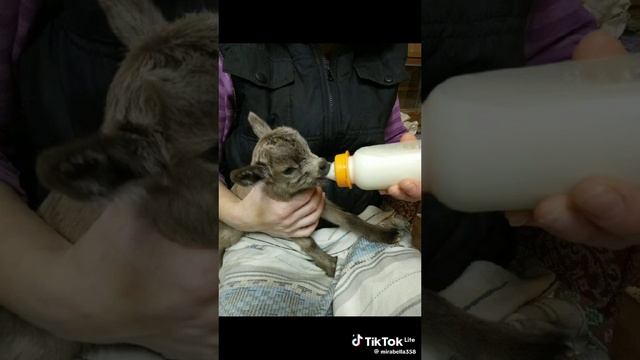 Время покажет клип
