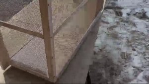 Балкончик для кошки, безопасный выгул на окно. Заказать в Москве и Московской области 89057601444