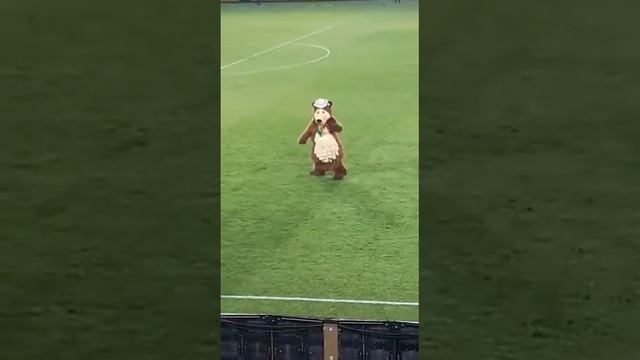 Медведь танцует лезгинку