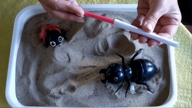 Досліджуємо властивості піску: СКЛЕПІННЯ Й ТУНЕЛІ (дослід №4) смотреть онлайн