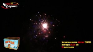 TKB978 Артек 78*0,8-1