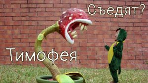 Распаковка семян Венериной Мухоловки