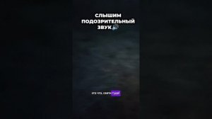 Контент