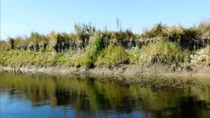 4  Часть вторая Из Глушково в Тёткино по реке Сейм Фильм четвёртый Автор Юрец В