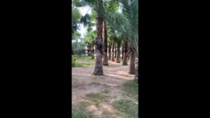 Seaden Sea World Resort & Spa