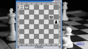 Задание №1  Ладья против 1 пешки