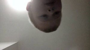 Мышка-сосиска, кошка-картошка🐮🥔🐯