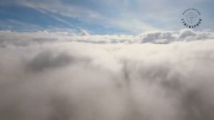 сеанса регрессии  с СУЩЕСТВОМ СВЕТА