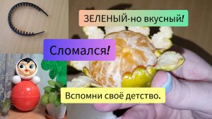 2-7.02.2024 TORA-BIKA..пробую новинки!😃😋Детский садик..вспомнила детство.😊Угостили мандарином!😯