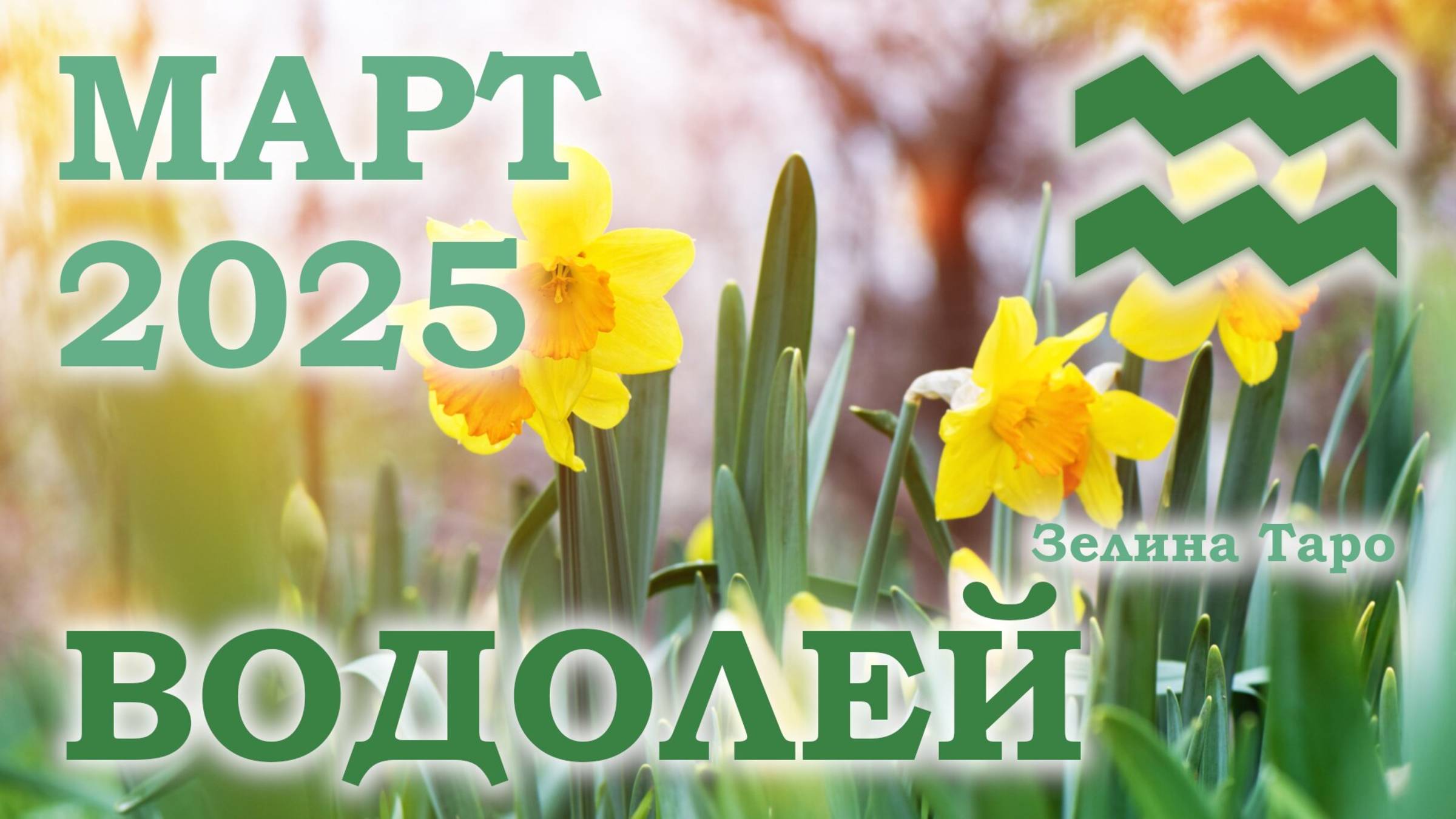 ВОДОЛЕЙ | ТАРО прогноз на неделю с 24 февраля по 2 марта 2025 года