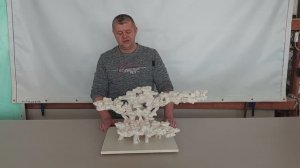 ДФ-362 Комплект для морского аквариума из биокерамики.