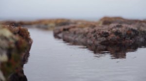 Зачем ехать в Териберку?