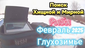 ПОИСК ХИЩНОЙ МИРНОЙ РЫБЫ ФЕВРАЛЬ