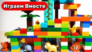 Развивающие видео для детей ! Строим горки с животными и запускаем шарики ! Видео для детей