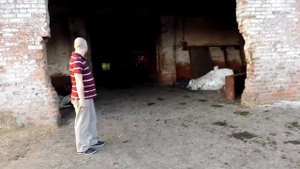 Ферма , Коровы