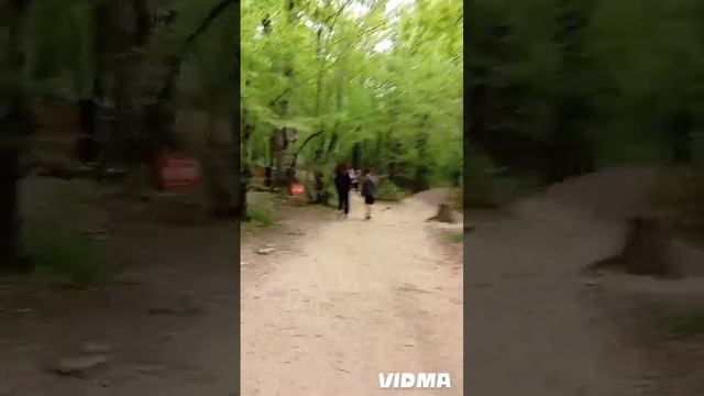 Дольмены водопады реки Жанет и вайп весеннего леса.