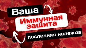 Что такое иммунная система?