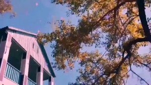 ДжемФест. Импровизация. Музыка без нот!