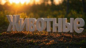 Животные