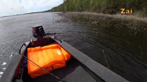 Рыбалка на историческом русле реки Воронеж. Щука клюет.