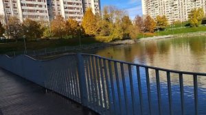 Малый Чертановский пруд (Чертаново Северное, Москва)