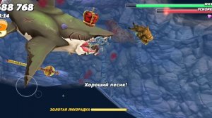 ищем сундуки