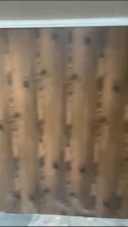 video5330525211471144251