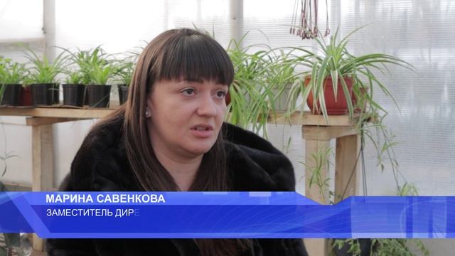 Смоленск начал готовиться к летнему сезону.