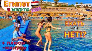 Египет 2025: Вся ПРАВДА про отдых в МАРТЕ! БУМ на туры. ЦЕНЫ, ПОГОДА, ветер, море на курортах