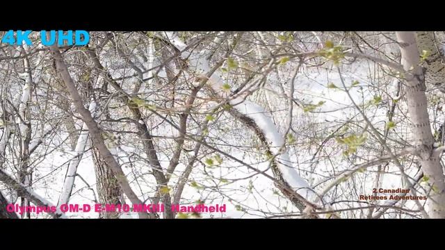 325 OLYMPUS OM-D E-M10 MK III TESTING❄️⛄📷(ICICLE AND SNOW COUNTRY) 4K ̣Handheld