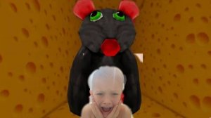 ооо поем сыра стоп а если в него залезть ? сырный лабиринт