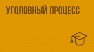 Уголовный процесс. Видеоурок по обществознанию 10 класс