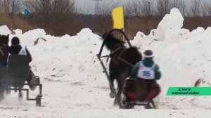 Скачки на лошадях с санной повозкой прошли в ижемской деревне Бакур