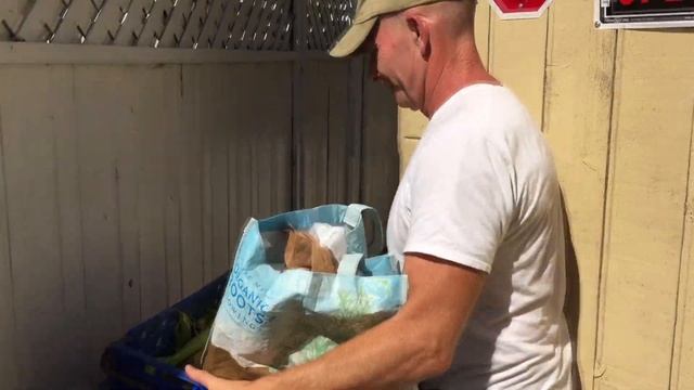 "The Tortoise Whisperer" Documentary premiere on The Tortoise Guy! смотреть онлайн