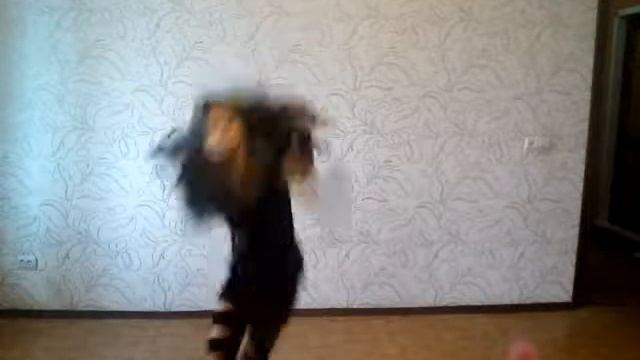 Танец смотреть всем смотреть онлайн