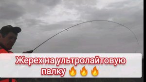 жерех на ультролайтовый спиннинг