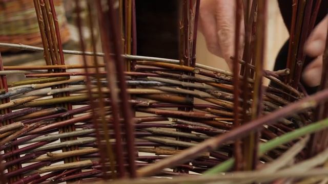 Bajo los Bosques смотреть онлайн