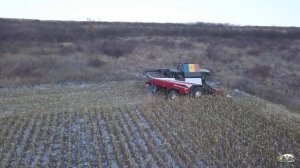 По снегу комбайн Ростсельмаш RSM 161 убирает кукурузу жаткой Argus