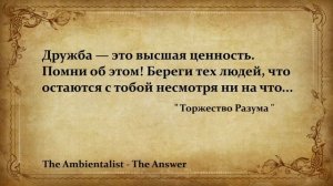 The Ambientalist GIF