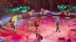 Московский цирк