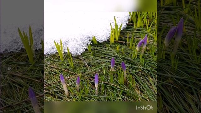 Е. Трутнева "Когда это бывает?" смотреть онлайн