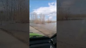 Саракташ Оренбургская область разлив Сакмары апрель 2024