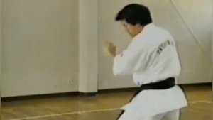 Техника Эншин- Каратэ