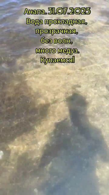 Погода на море 31 июля 2023 (Анапа). Море холодное, но без волн! #анапа #анапа2023 #анапаморе