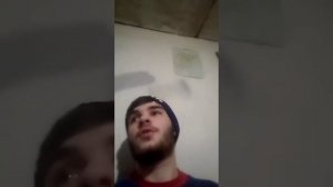 Трудно ли выращивать перепелов?
