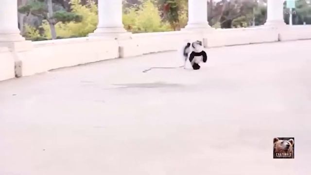 Собаки Самые Лучшие Коубы Выпуск #4 Best Vine Coub LoopLoop 1 смотреть онлайн