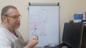 Халлюс Вальгус (Hallux valgus). Настоящая причина данной проблемы.