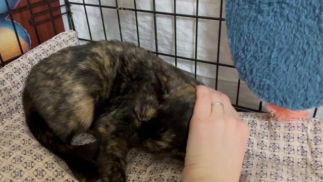 26-02-2025 смотреть онлайн