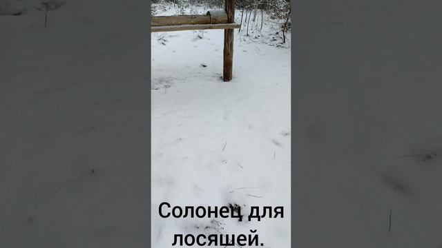 в поисках старого поселения  (часть 2)