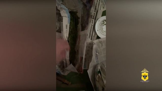 Почти 1 кг марихуаны нашли полицейские Херсонской области в домовладении жительницы Скадовска